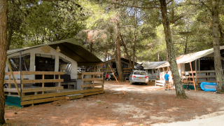Luxe safaritenten met veranda’s op een schaduwrijke camping in het bos, met auto’s en spelende kinderen.