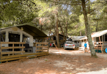 Luxe safaritenten met houten terras op een bosrijke camping, met geparkeerde auto en spelende kinderen.