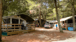 Safari-Luxuszelt mit Holzterrasse auf einem schattigen Campingplatz, umgeben von Kiefern und Autos.