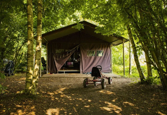 Safaritent in het bos met een trapkar vooraan, omgeven door schaduwrijke, groene bomen en natuur.