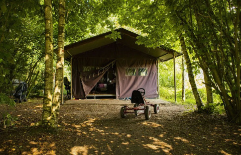 Safaritent in het bos met een trapkar vooraan, omgeven door schaduwrijke, groene bomen en natuur.