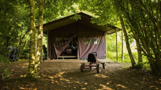 Safaritent in het bos met een trapkar vooraan, omgeven door schaduwrijke, groene bomen en natuur.