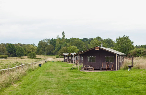 Tentes safari à Feather Down Heydon Grove Farm au Royaume-Uni avec douche chaude privée à côté.