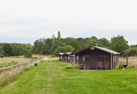 Tentes safari à Feather Down Heydon Grove Farm au Royaume-Uni avec douche chaude privée à côté.