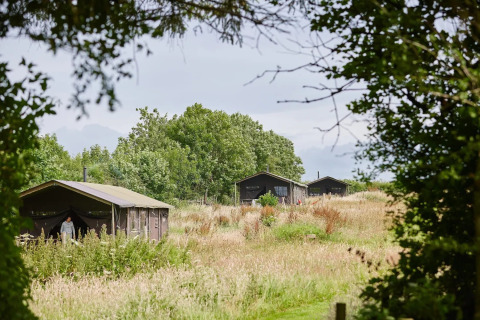 Safari-telthytter med privat bruser på Feather Down Warren Farm omgivet af natur i Storbritannien.