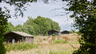 Safari-telthytter med privat bruser på Feather Down Warren Farm omgivet af natur i Storbritannien.