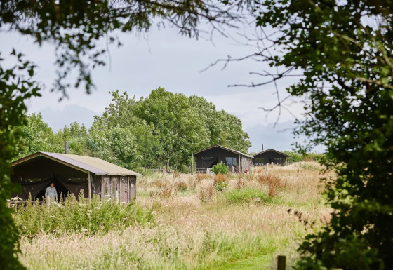 Casas de tienda safari con ducha privada en Feather Down Warren Farm rodeadas de naturaleza en el Reino Unido.