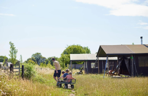 Familie aan de safaritent op Feather Down Glastonbury Hill Farm, Verenigd Koninkrijk, op zonnige dag.