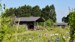 Tienda tipo safari Tent cottage con ducha privada en la carpa en Feather Down Manor Farm, Reino Unido, entre naturaleza.