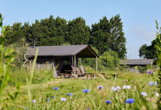 Tienda tipo safari Tent cottage con ducha privada en la carpa en Feather Down Manor Farm, Reino Unido, entre naturaleza.