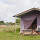 Mand slapper af ved telt på Feather Down New Barn Farm med privat bruser og udsigt til naturen.