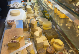 Cheese counter at Agriturismo Angeli Sognanti, Marche, Italy, featuring a variety of artisanal cheeses.