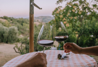 Two people clinking wine glasses outdoors at a checked tablecloth in Agriturismo Angeli Sognanti, Marche, Italy.