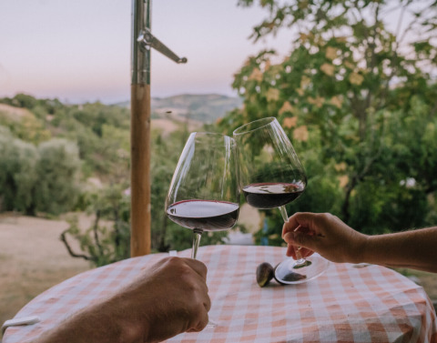 Deux personnes trinquent avec des verres de vin sur une nappe à carreaux à l’Agriturismo Angeli Sognanti, Marche, Italie.