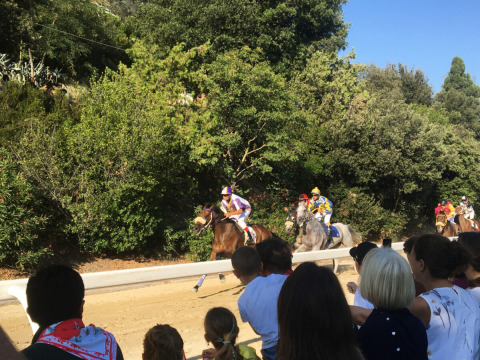 Toeschouwers volgen een zonnige paardenrace bij Agriturismo Angeli Sognanti in Marche, Italië.