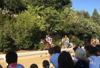 Toeschouwers kijken naar een zonnige paardenrace bij Agriturismo Angeli Sognanti in Marche, Italië.