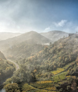 Colinas brumosas y paisaje verde cerca de Kyllburg, Renania-Palatinado, Alemania, durante el amanecer.