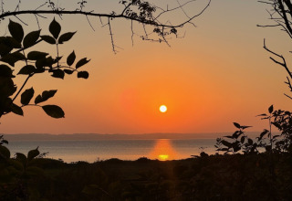 Smuk solnedgang over vandet set fra Rosenvold Strand Camping, omgivet af silhouetter af grene og blade.