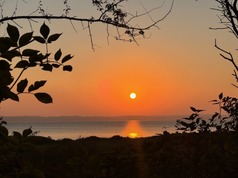 Prachtige zonsondergang boven het water bij Rosenvold Strand Camping, omgeven door silhouetten van takken en bladeren.