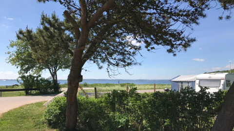 Udsigt over en campingplads ved vandet på Rosenvold Strand Camping i Danmark, med træer og en campingvogn.