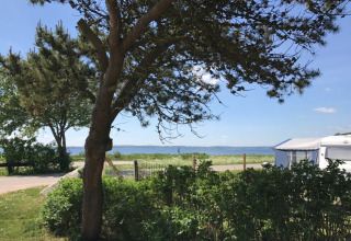 Udsigt over en campingplads ved vandet på Rosenvold Strand Camping i Danmark, med træer og en campingvogn.