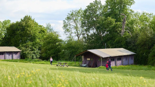 Afbeelding van mensen die wandelen bij safaritenten in een groen veld met bomen op de achtergrond.