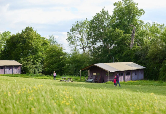 Afbeelding van mensen die wandelen bij safaritenten in een groen veld met bomen op de achtergrond.