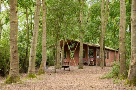 Tenda safari al Feather Down Layer Marney Tower, UK, tra gli alberi con doccia privata e vasca idromassaggio.