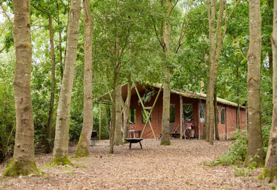 Safari tent at Feather Down Layer Marney Tower, UK, set among trees with private hot shower and hot tub.