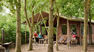 Tienda safari con ducha privada junto a Feather Down Layer Marney Tower en el Reino Unido, entre árboles.