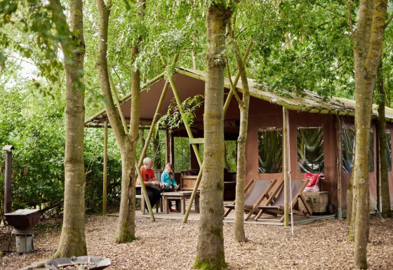 Tienda safari con ducha privada junto a Feather Down Layer Marney Tower en el Reino Unido, entre árboles.