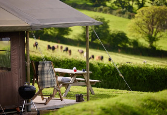 Tenda safari con terrazza privata e barbecue presso Feather Down Treganhoe Farm, Regno Unito, vista su mucche.