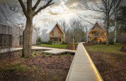 Moderne træhytter og oplyste gangstier omgivet af skov på Woodz Lodges-feriepark i Limburg, Belgien