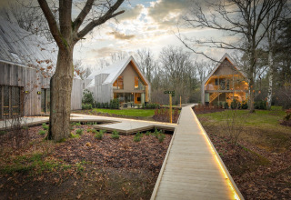 Moderne houten chalets en verlichte wandelpaden in het bos bij Woodz Lodges vakantiepark, Limburg