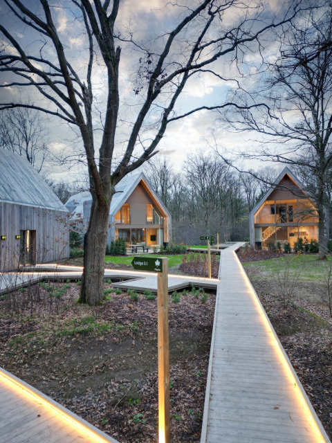 Foto van moderne huisjes en verlichte wandelpaden in Woodz Lodges vakantiepark in Belgisch Limburg bij valavond.