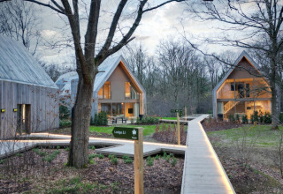 Foto af moderne hytter og oplyste stier i Woodz Lodges feriepark i Limburgskoven, Belgien ved skumring.