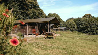 Tienda safari en Feather Down Ô manoir de Glams, Francia, con ducha privada y flores en primer plano