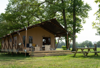 Safaritent met eigen badkamer en extra groot terras bij Vakantiepark Mölke in Nederland, in een groene omgeving.