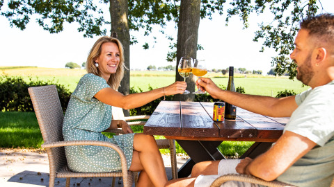 Dos personas brindan con copas de vino en una mesa exterior en Lodge Biebosch, Resort Mooi Bemelen, Países Bajos.
