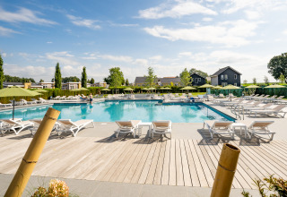 Buitenzwembad met ligzetels en parasols bij Resort Mooi Bemelen in Nederland op een zonnige dag.