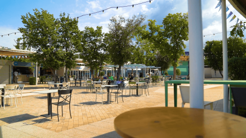 Zona de comedor al aire libre con mesas y sillas bajo árboles en Camping Lanterna, parque vacacional en Istria, Croacia.
