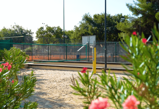 Campo sportivo sabbioso con fiori in primo piano e campi da tennis dietro, Camping Lanterna, Istria, Croazia.