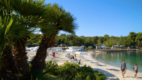 Escena de playa con palmeras, huéspedes y aguas tranquilas en Camping Lanterna, parque vacacional en Istria, Croacia.