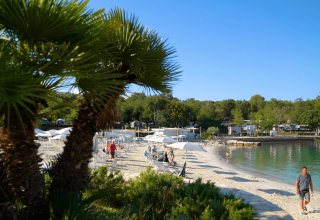 Strandscene med palmer, gæster og rolige vande ved Camping Lanterna, en feriepark i Istrien, Kroatien.