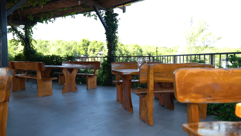 Terrazza all'aperto con panche e tavoli di legno immersa nel verde al Camping Lanterna, Istria, Croazia.