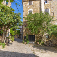 Calle empedrada con casas rústicas de piedra y vegetación cerca de Tar, Istria, Croacia, bajo el sol.