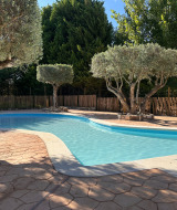 Piscina exterior y olivos en el parque de vacaciones TAIGA Lake Caspe en Aragón, España, en día soleado.
