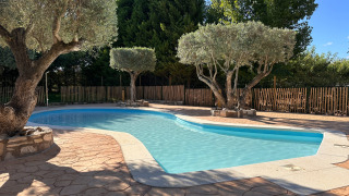 Piscina exterior y olivos en el parque de vacaciones TAIGA Lake Caspe en Aragón, España, en día soleado.