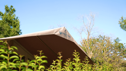 Primer plano de una tienda con la inscripción 'easy tent' en Camping Valkanela, Istria, Croacia, rodeada de plantas.