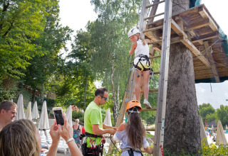 Enfants grimpant une échelle dans un arbre avec harnais au Altomincio Family Park, Lombardie, Italie.